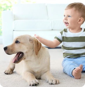 Pets and babies enjoying evaporative cooling at home