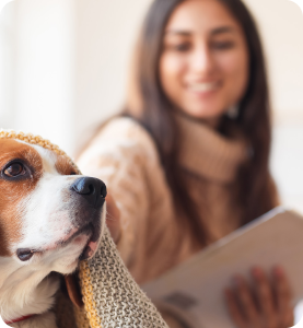 Pets enjoying gas ducted heating at home