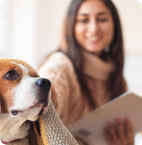 Pets enjoying gas ducted heating at home